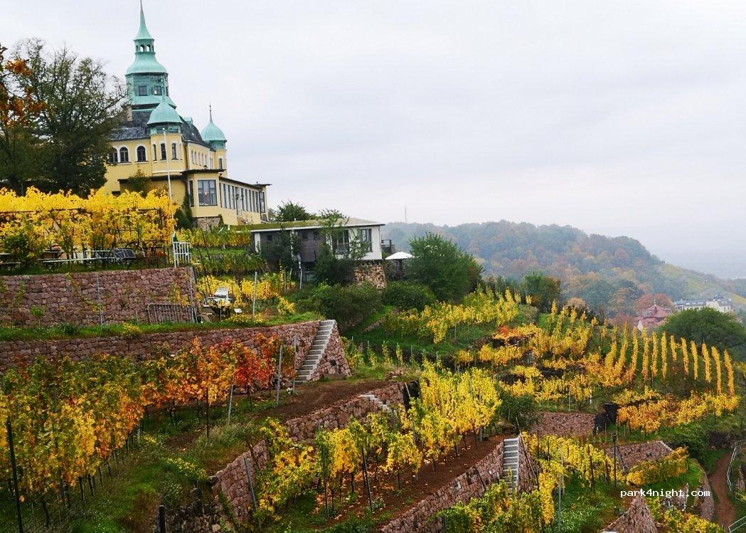 Stellplatz am Weinberg