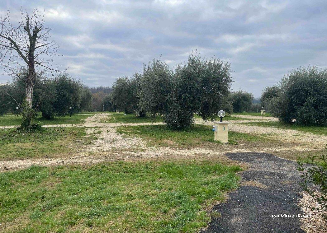 Agrisosta - L'Isola degli Ulivi - Foto 2