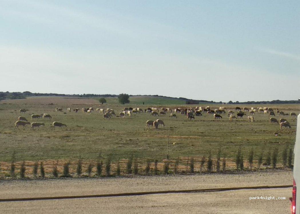 Area de Autocaravanas de Corral-Rubio - Foto 4