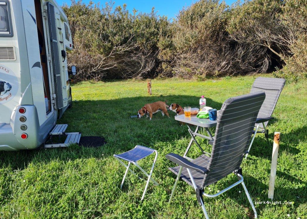 Estacionamiento Municipal - Foto 5