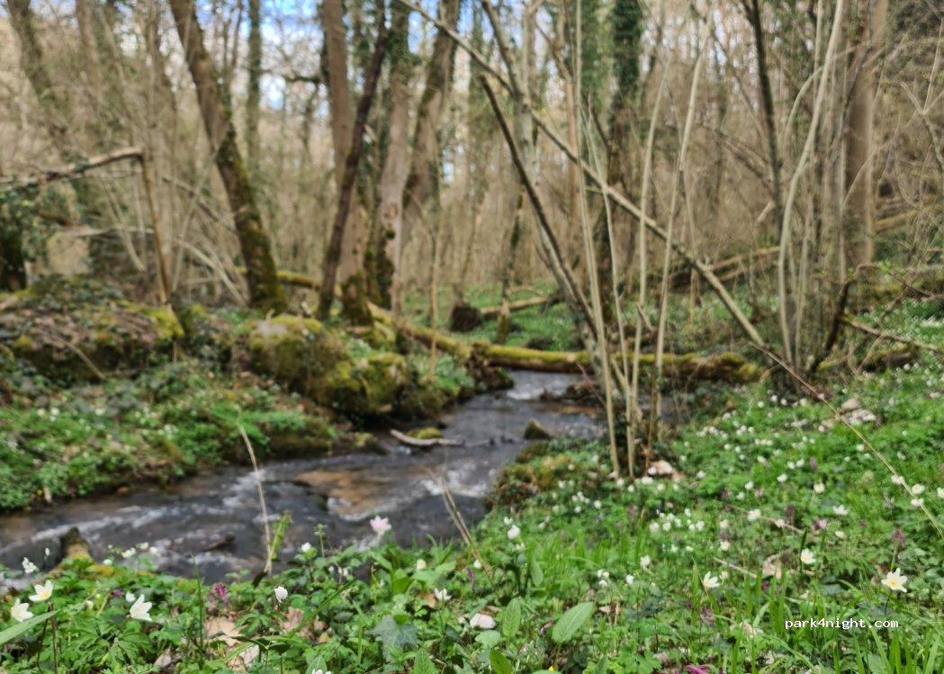 Parking para Autocaravanas - Foto 5