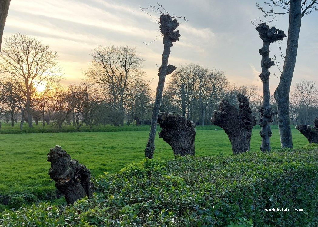 Camperplaats De Willige Waard - Foto 4