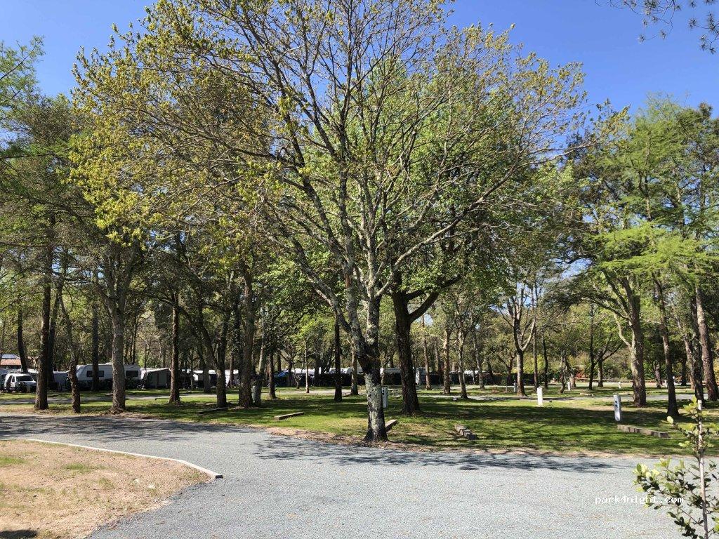 Aire de Camping-cars du Lac - Foto 5