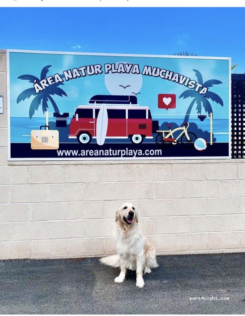 Área Natur Playamuchavista - Foto 2