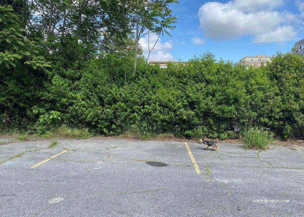 Area sosta camper 00154 Roma RM - Foto 3