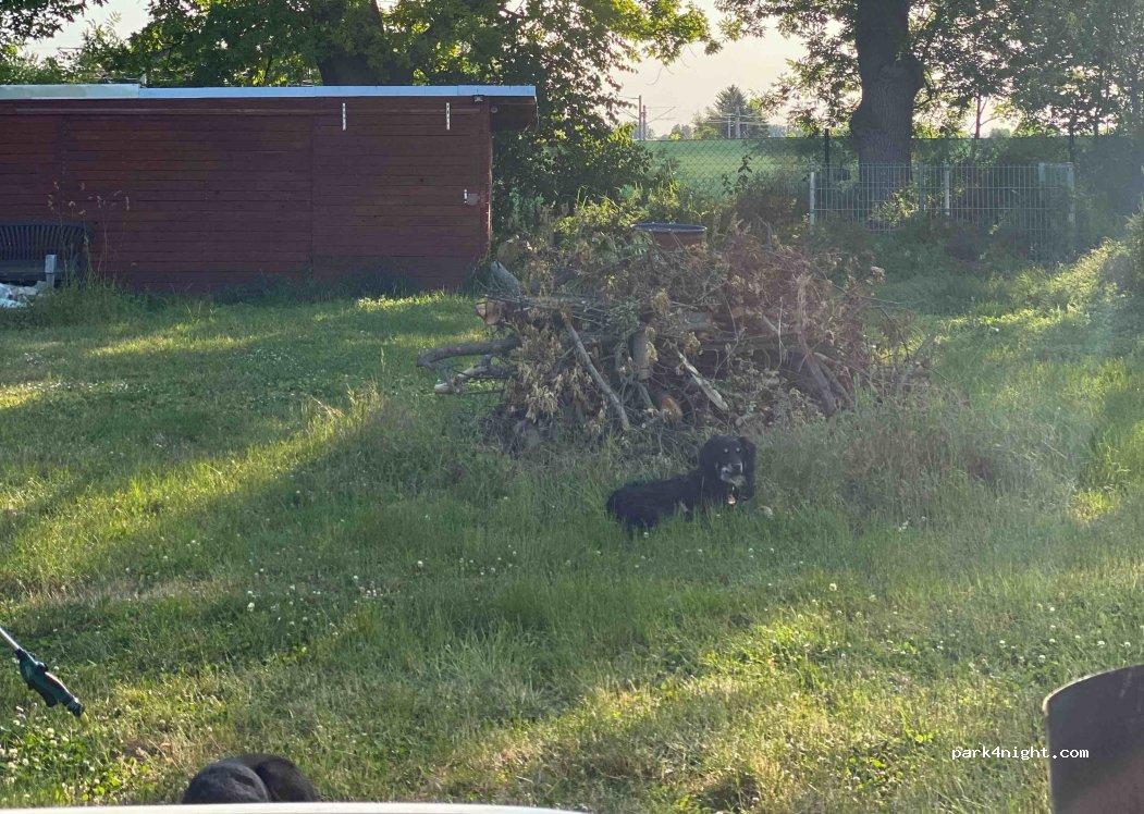 Wohnmobil/Wohnwagen Stellplatz Großlehna, Alte Gärtnerei - Foto 5