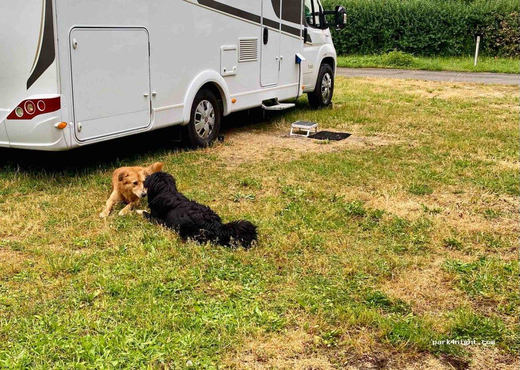 Wohnmobil/Wohnwagen Stellplatz Großlehna, Alte Gärtnerei - Foto 2