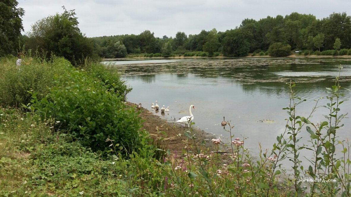 Area CAMPING CAR PARK BAZOUGES-CRE SUR LOIR - Foto 5