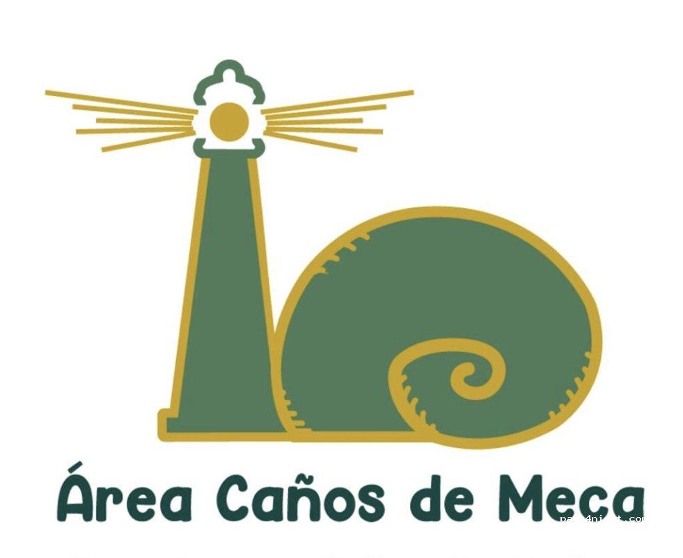 Área Caños de Meca - Foto 7