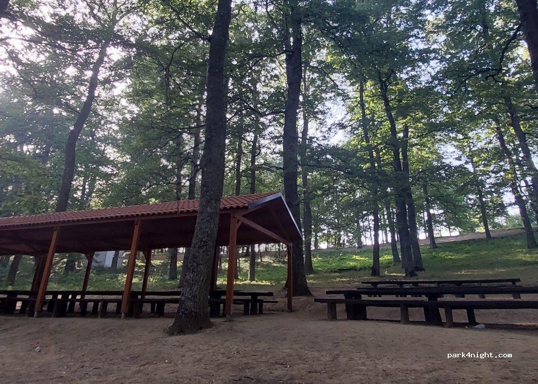 Area Camper Accettura - Foto 2