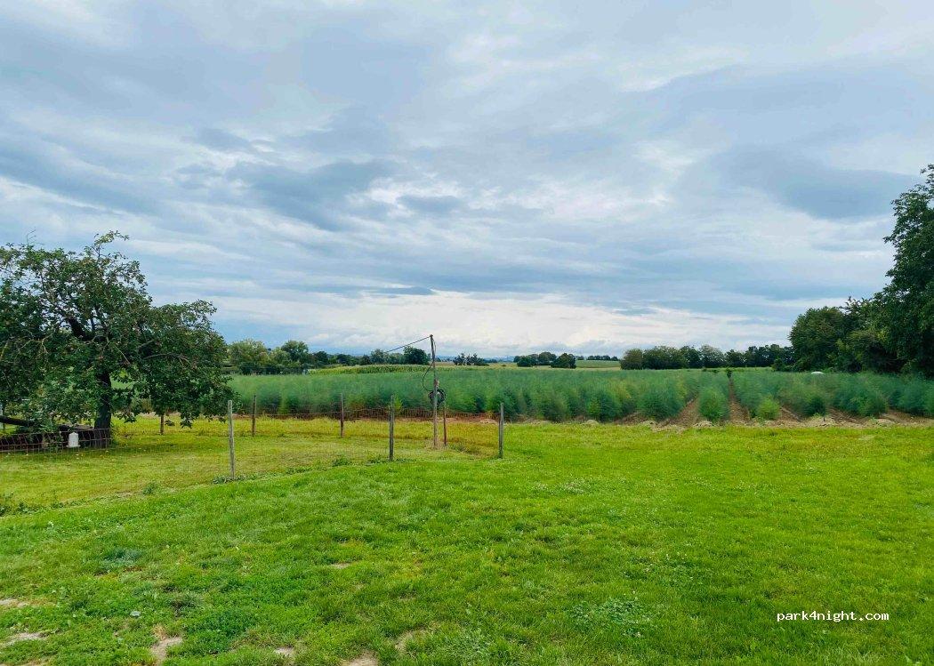Wohnmobil Stellplatz Freiburg - Foto 4