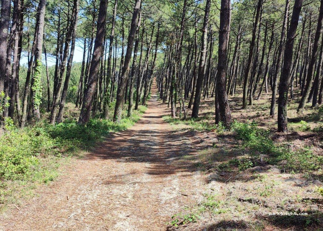 Camping Le Saint Martin - Foto 4