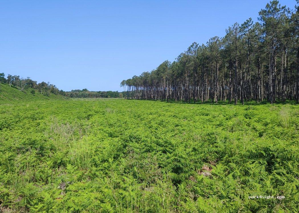 Camping Le Saint Martin - Foto 2