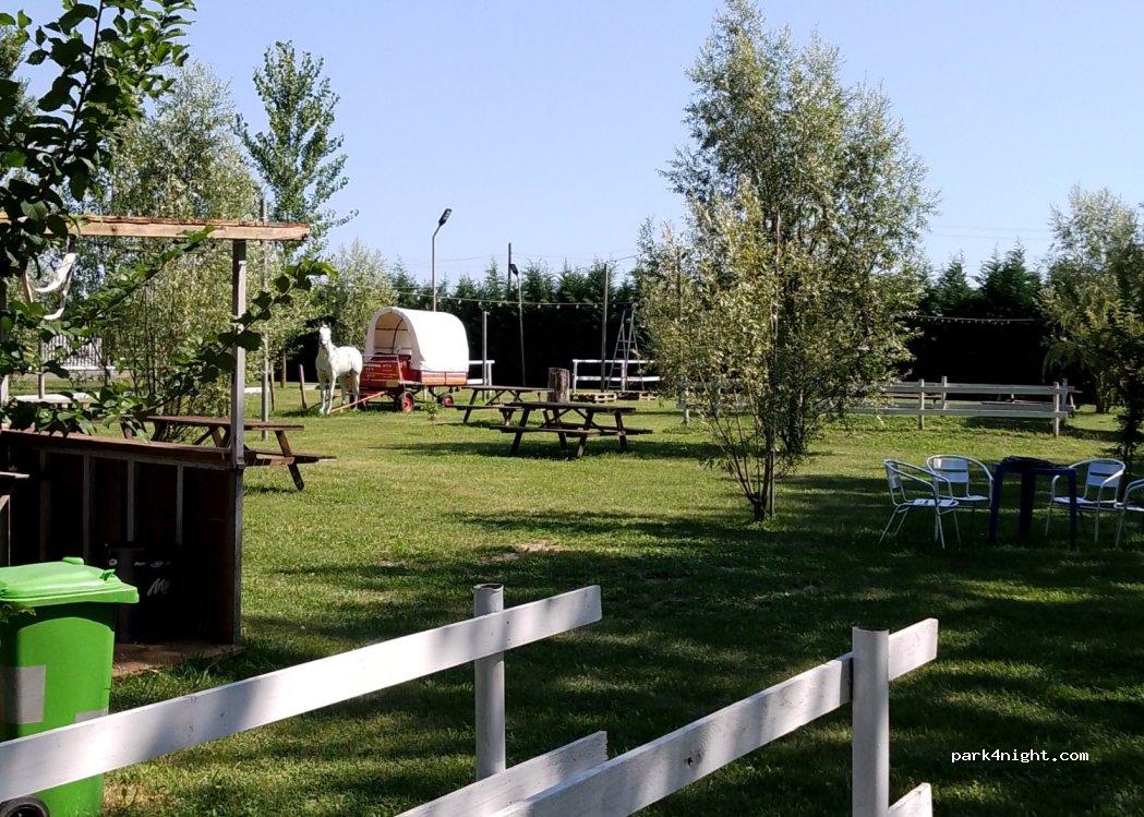 Cavalieri del Po sosta camper e roulotte - Foto 7