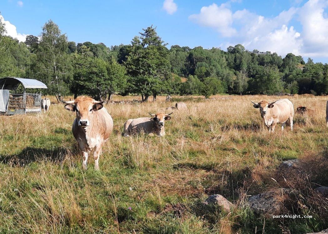 Aire de campingcar GRANDVALS - Foto 2