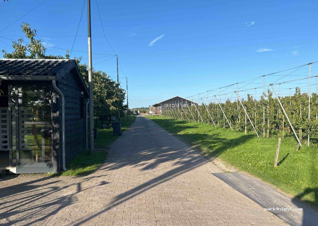 Camperplaats de Kersenpit - Foto 4