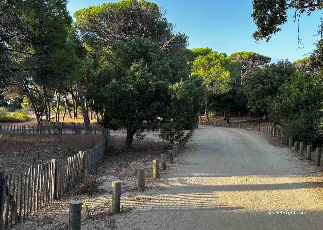 PALOMBAGGIA Parcheggio Auto-Campeggio "I Pini" - Foto 4