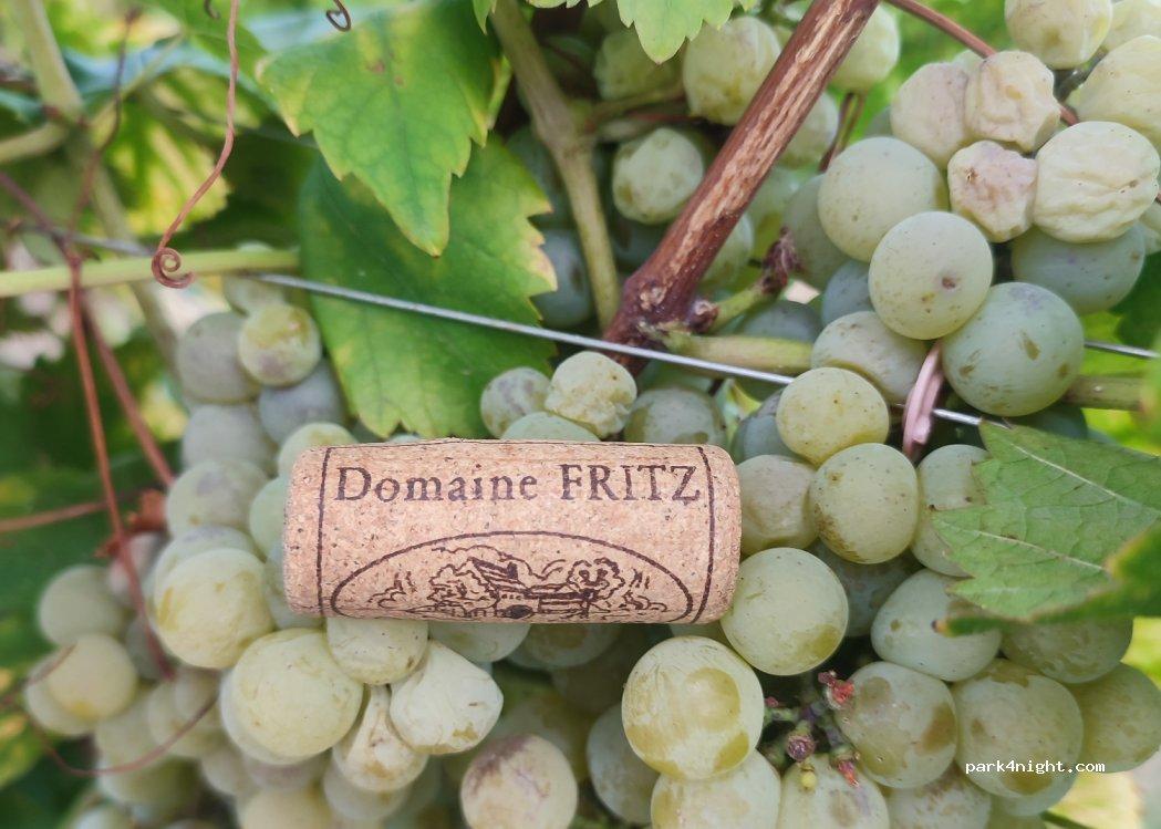 Aire de camping cars, Domaine Fritz - Foto 2