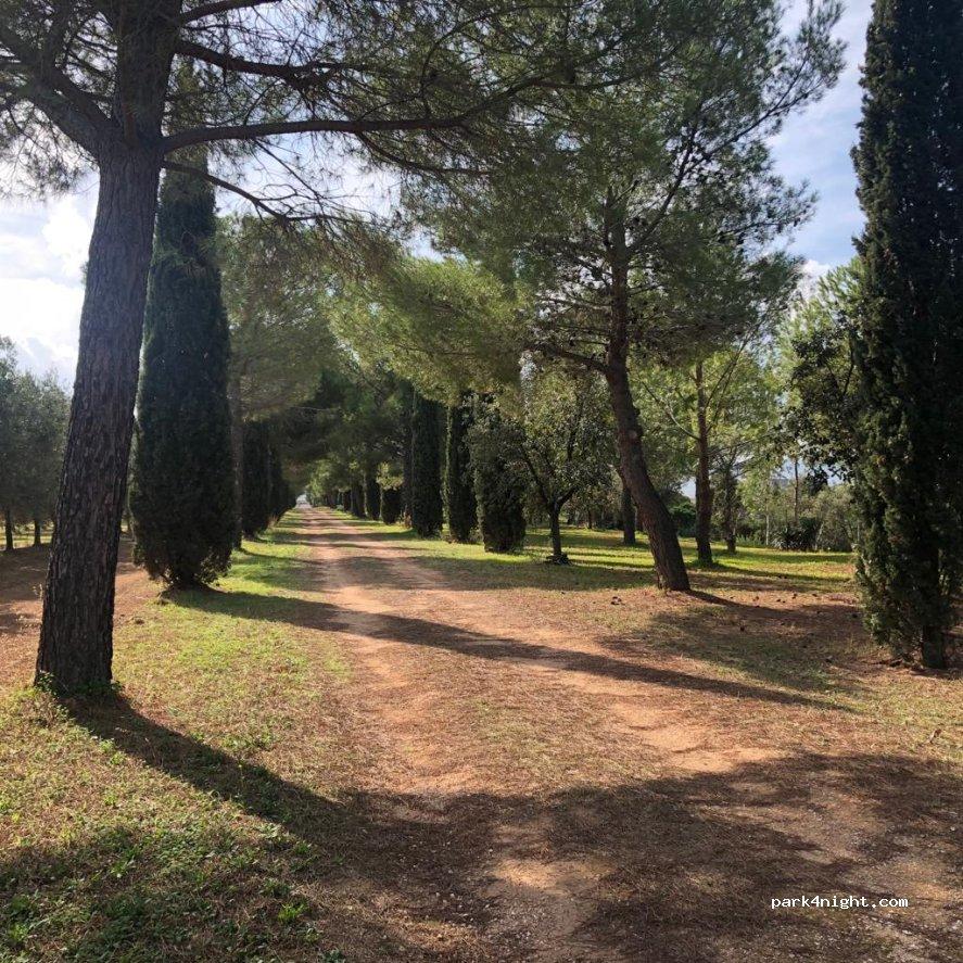 Area Sosta Camper Ostuni - Masseria Appia Traiana - Foto 2