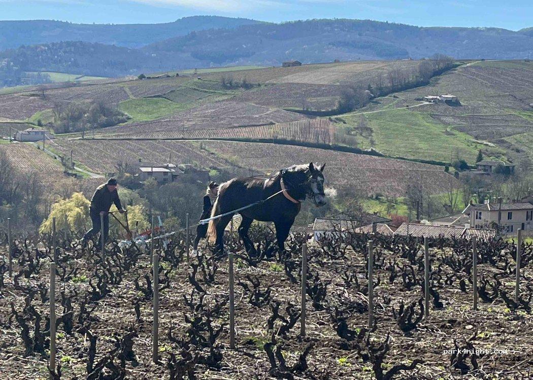 Camping Sites and Landscapes Kanopée Village - Foto 4