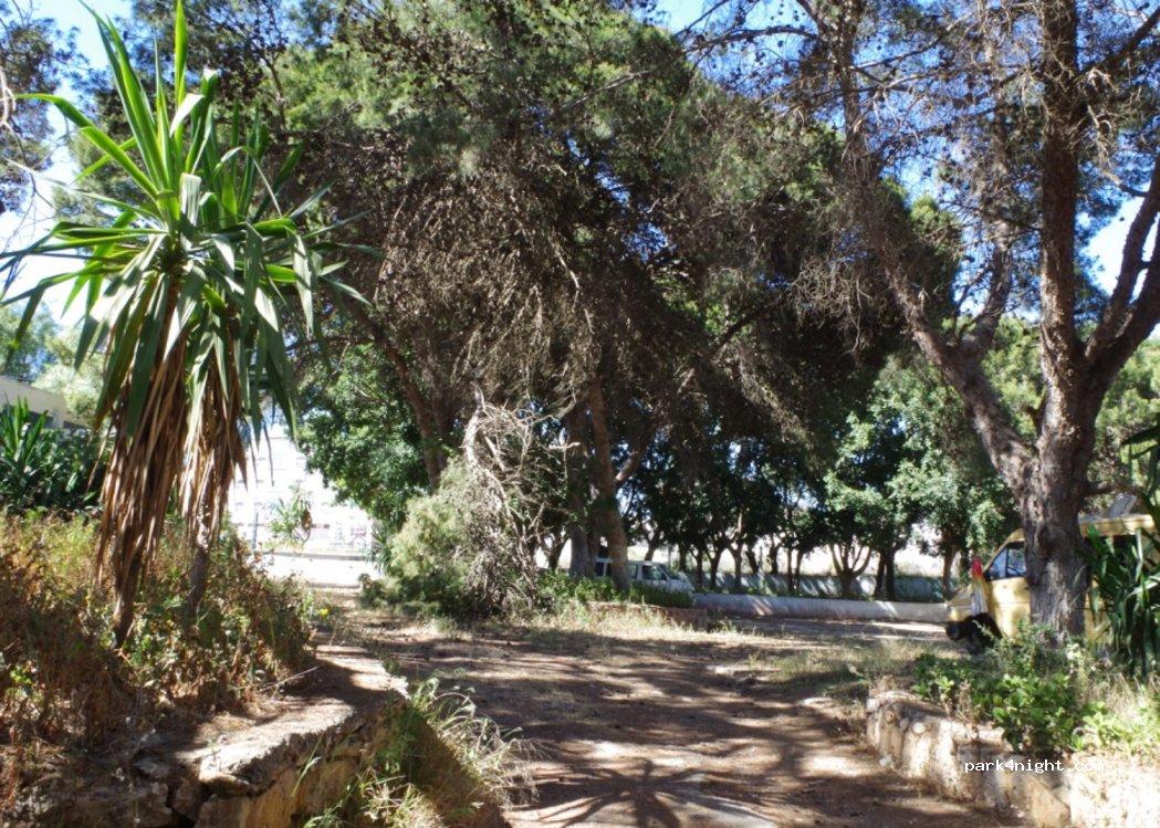 Camping Municipal Las Chacras - Foto 2