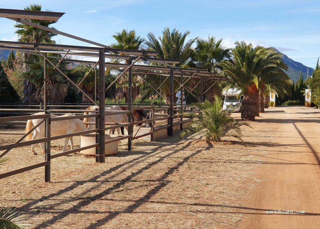 Heredad de Elias Ferrer - Foto 4