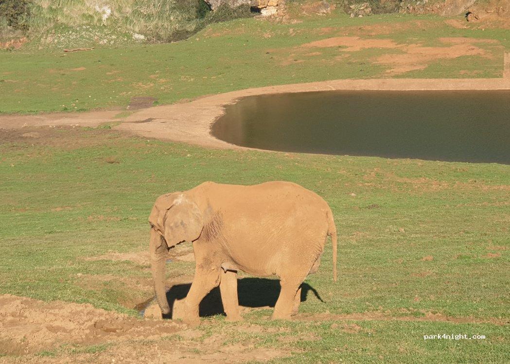 Reserva Natural El Placer