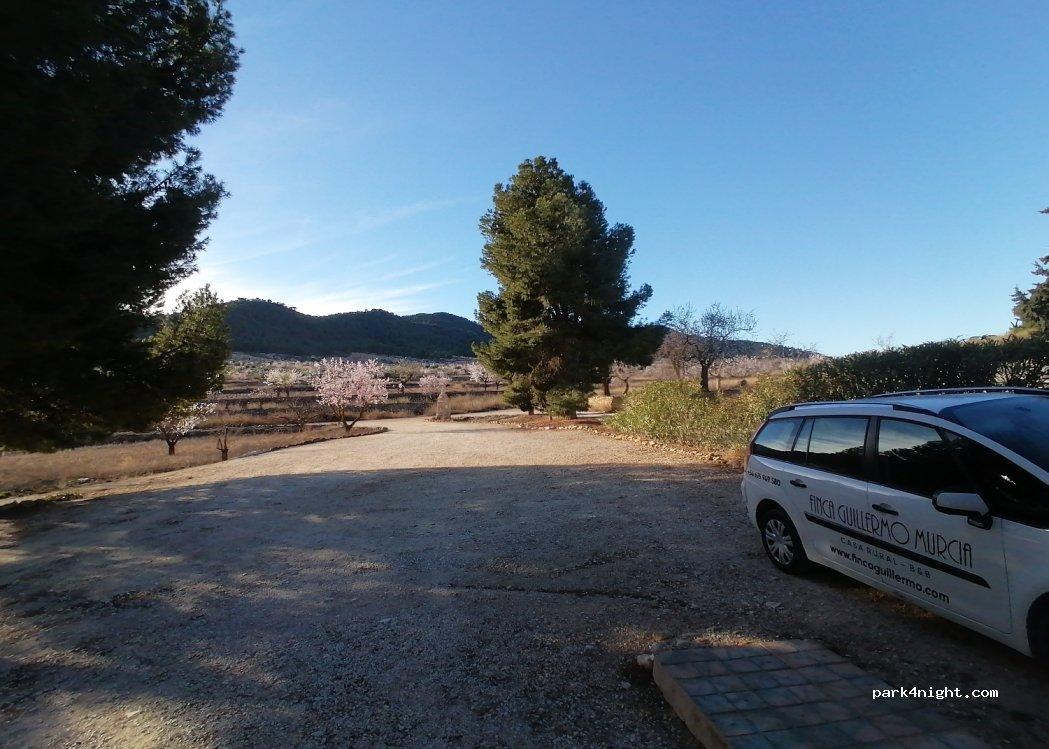 Campista Hollanda - Foto 2