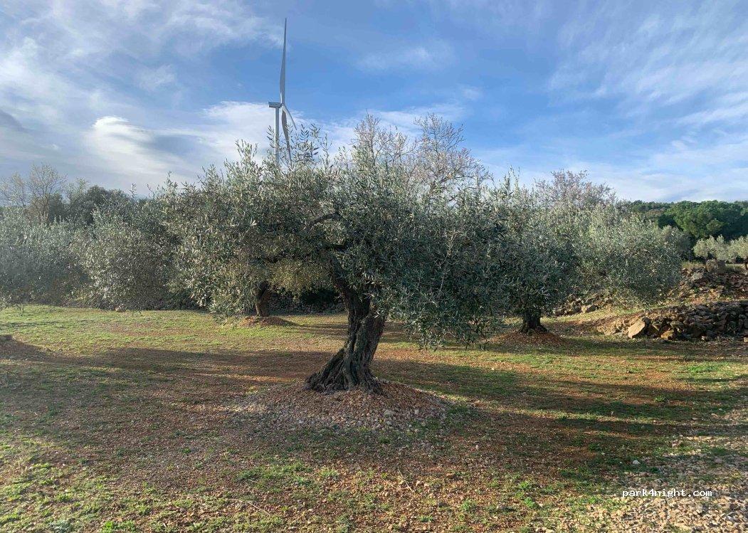 Camper Parking Area El Perelló - Foto 6