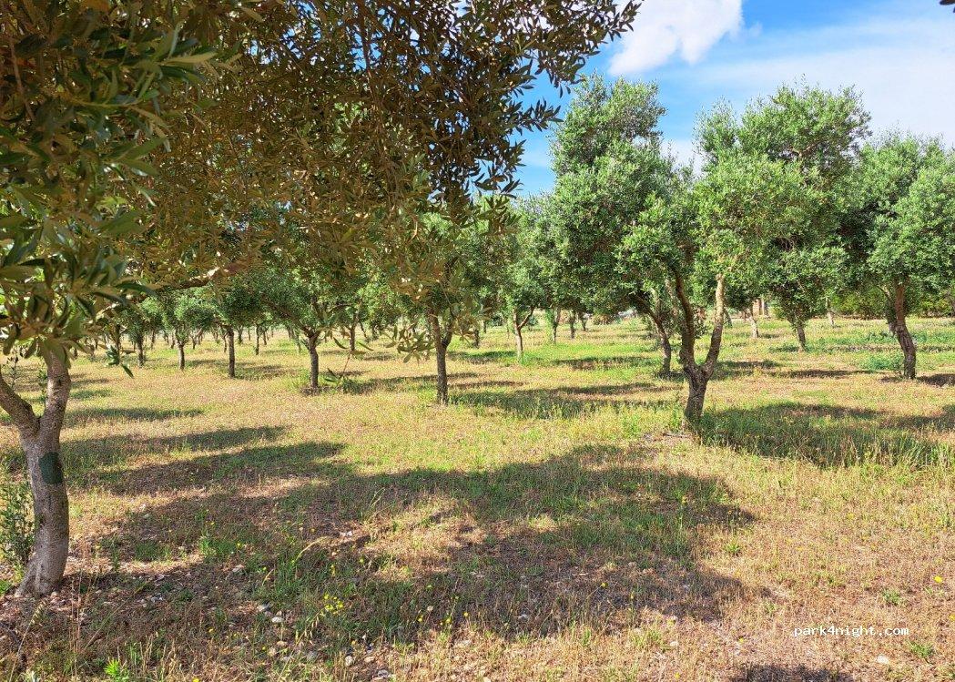 Area Ac Quart - Foto 2