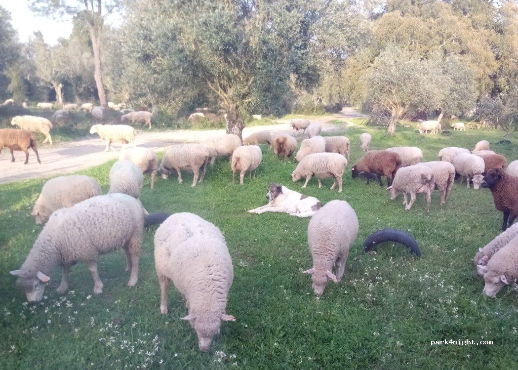 MOTORHOME PARKING Catamarca 2 - Foto 3