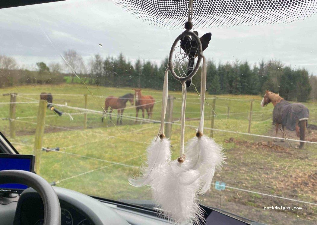 Billund autocamper plads - Foto 6