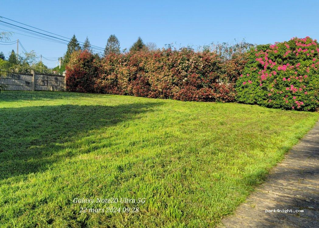 Zona de acampada de San José de los Llanos - Foto 5