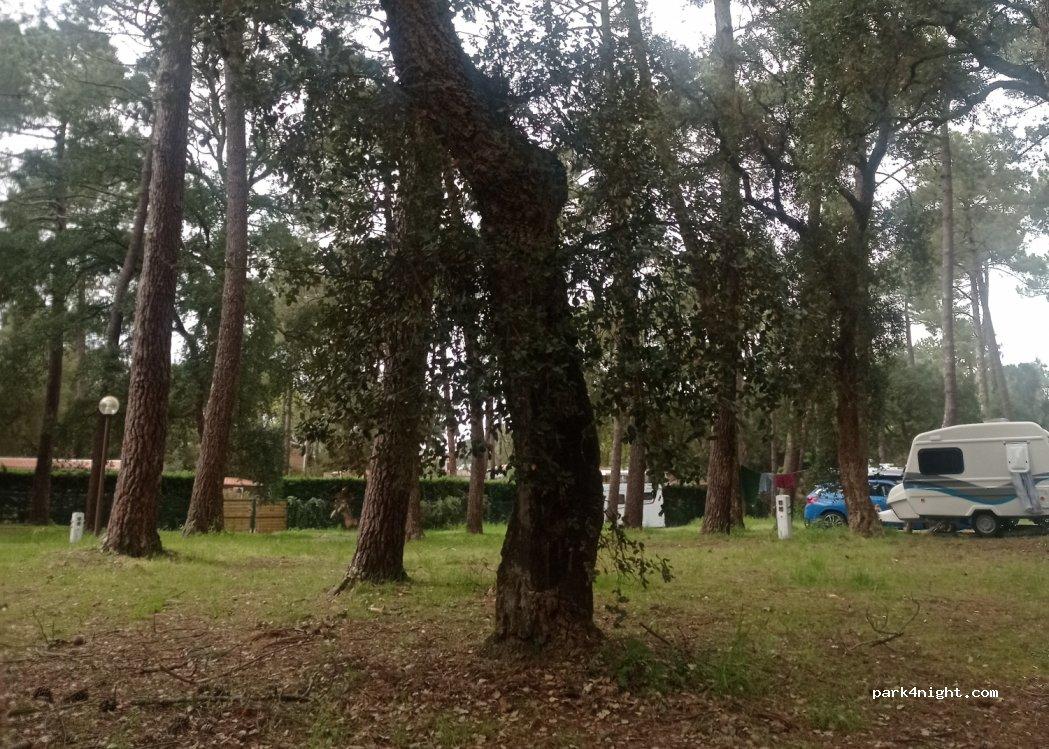 AIRE CAMPING-CAR PARK de SEIGNOSSE - Foto 6