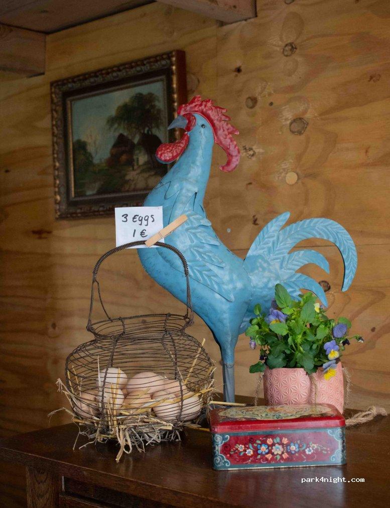 Camperplaats Hofstede Kloosterstein - Foto 5