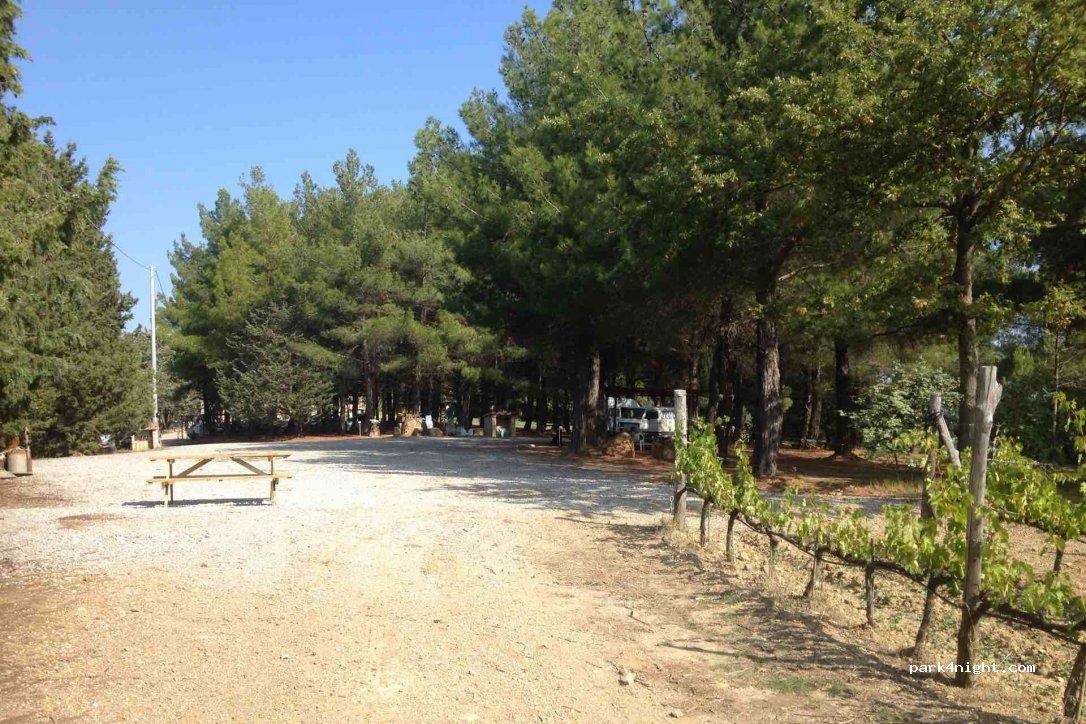 Area sosta Camper "Il Cocco" - Foto 3