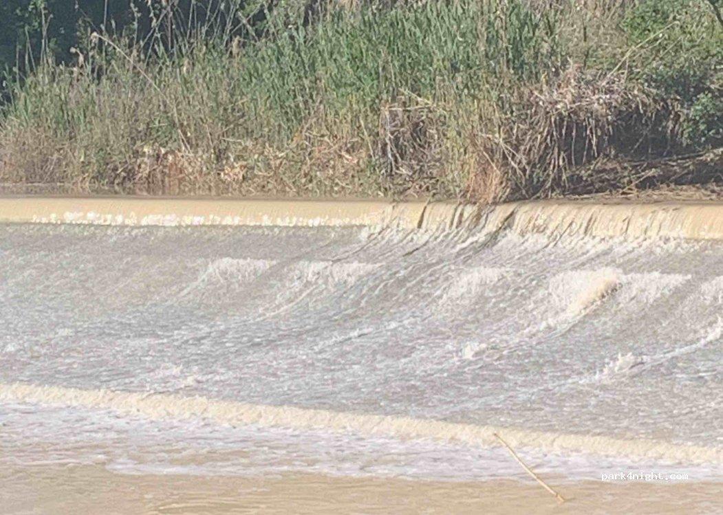 Área Autocaravanas de Palma del Río - Foto 3