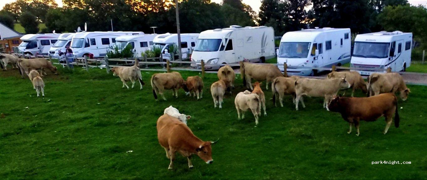 Ferme La Montagnette - Foto 4