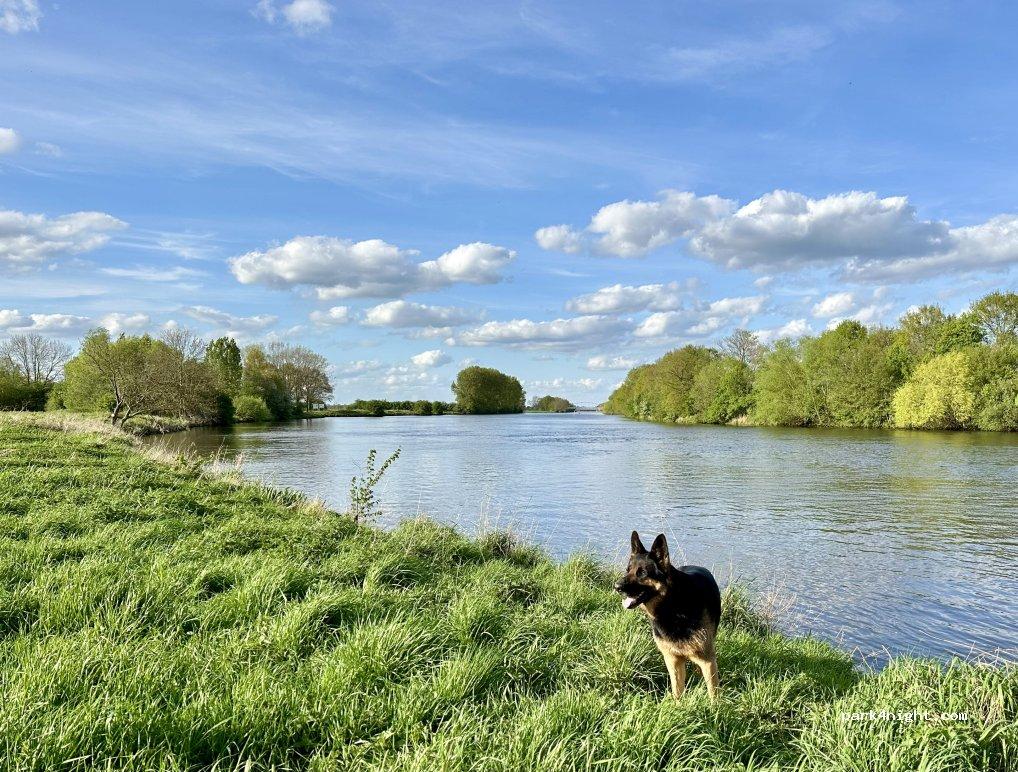 Wohnmobilstellplatz Weser - Ufer - Urlaub - Foto 7