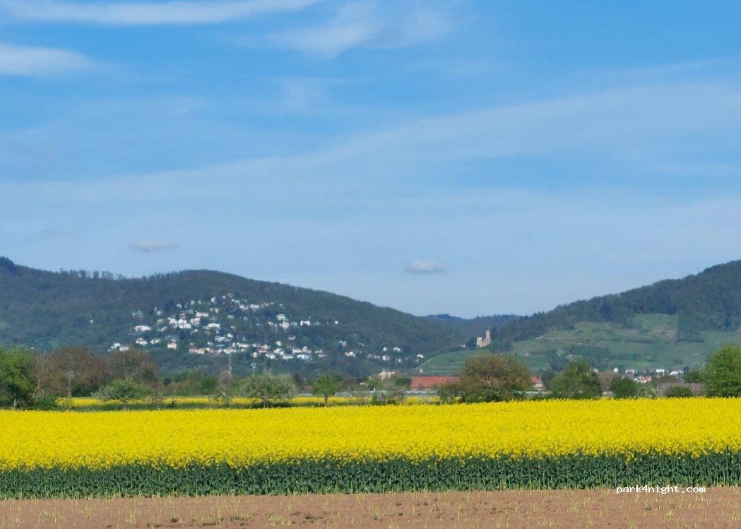 Wohnmobilstellplatz Ladenburg - Foto 5