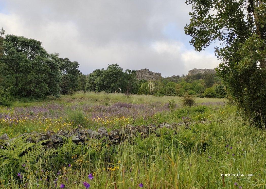 Area Camper - Foto 4