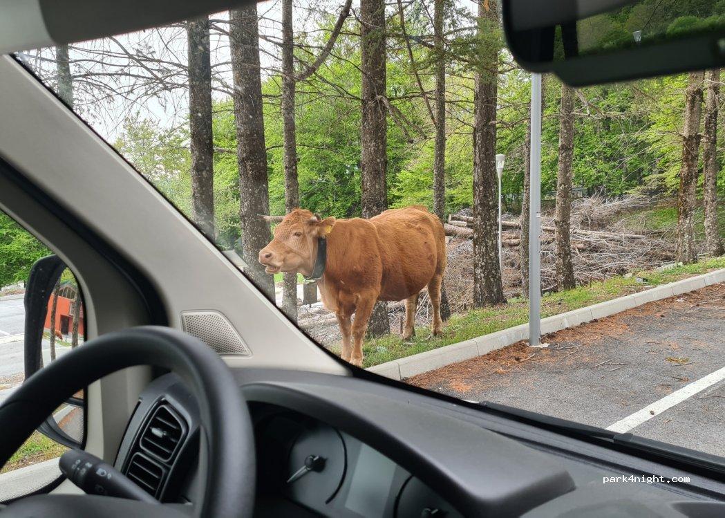 Area sosta camper Montagna Grande Viggiano - Foto 5