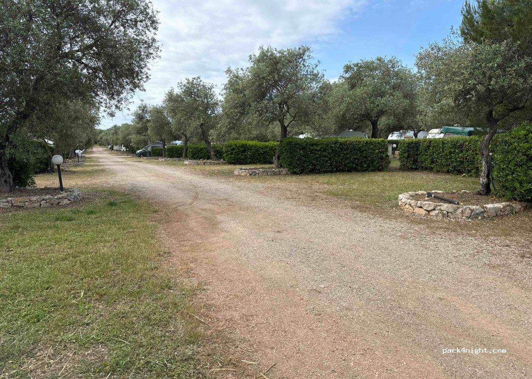 Paradise Park | Area Attrezzata Sosta Camper - Foto 3