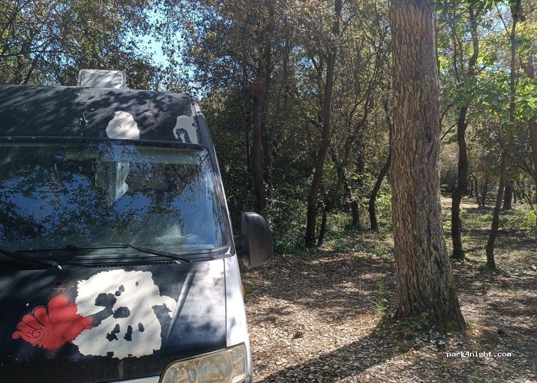 Aire de camping-car NOTRE DAME DE MONTS - Foto 6