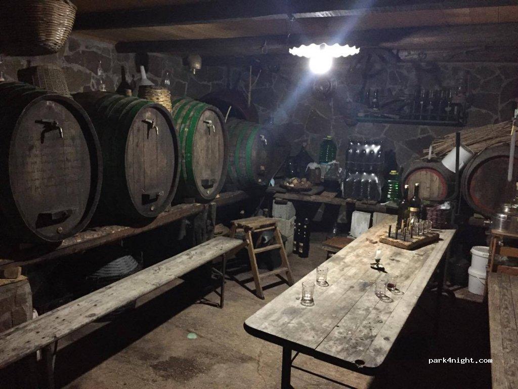 PALOMBAGGIA Parcheggio Auto-Campeggio "I Pini" - Foto 7