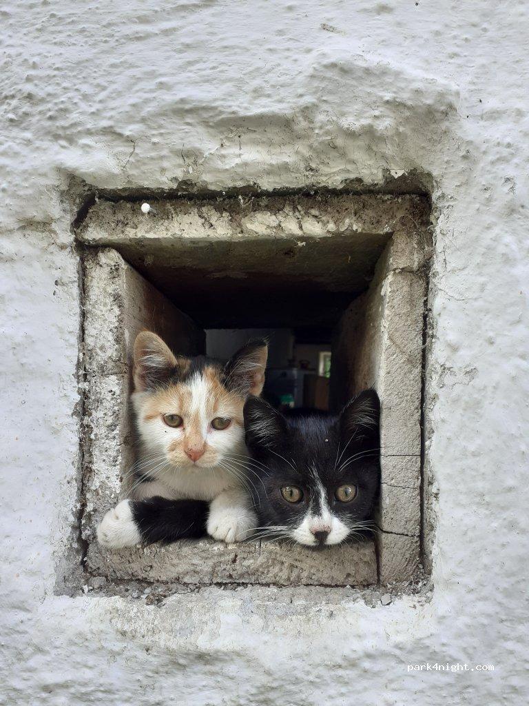 Wohnmobil- und Wohnwagenstellplatz am Obersteghof - Foto 5