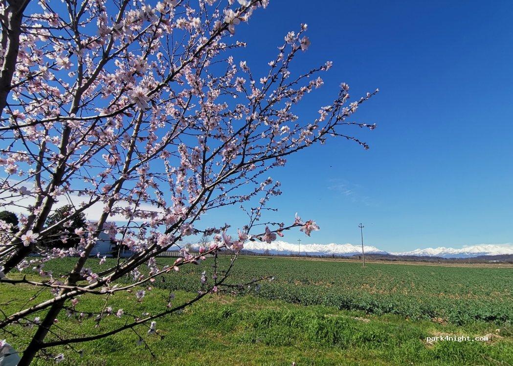 Monferrato Camper Stop