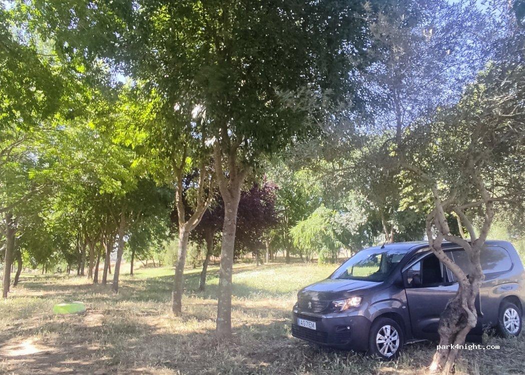 Area de Autocaravanas Logrosan - Foto 2