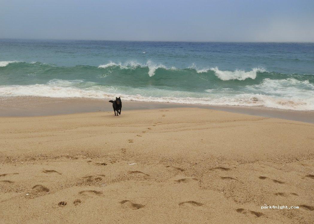 Caravan park Praia do Meco - Foto 6