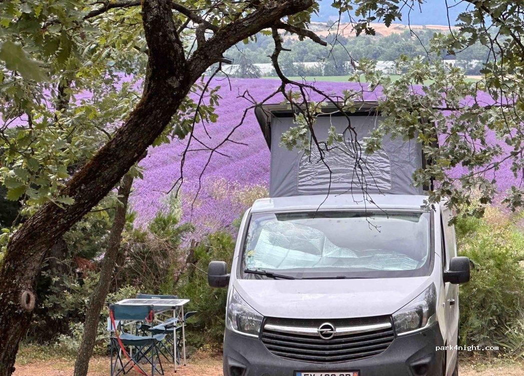 Camping Le Jas du Moine Camping Alpes de Haute Provence - Foto 4